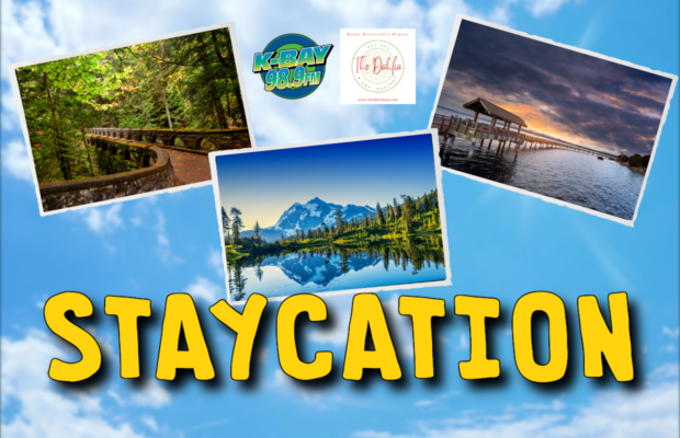 Staycation Station